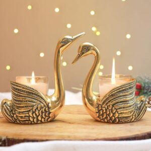 Golden Loving birds